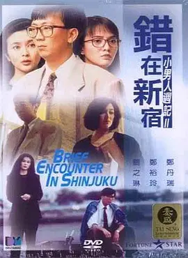 99久久精品情趣
