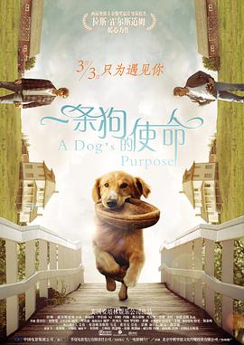 日韩高清av免费